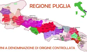 Mappa della Puglia con aree colorate che indicano zone di produzione di vino rosso puglia, con città e denominazioni.