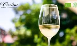 Calice di vino bianco Le Carline, certificato Bio Vegan. Scopri cosa sono i solfiti e la qualità dei nostri vini.