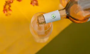 Versando vino rosato in un calice, perfetto per scoprire i suoi abbinamenti con piatti leggeri e freschi.