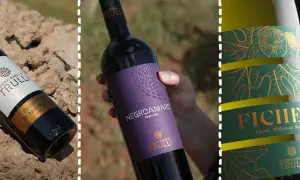 Bottiglie di vino pugliese: Primitivo, Negroamaro e Ficheto. Un viaggio sensoriale tra i sapori autentici della Puglia.