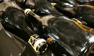 Bottiglie di vino scuro, pronte per la sboccatura. Le gabbie dorate promettono bollicine.