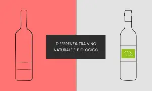 Bottiglia di vino naturale vs biologico. Scopri cosa sono i vini naturali e le loro differenze.