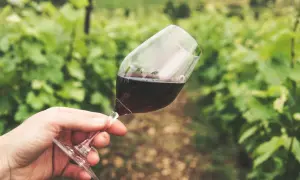 Un bicchiere di vino rosso in una vigna, un assaggio di dove è nato il vino.