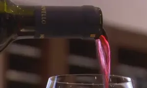 Versando vino rosso da una bottiglia con tappo a vite. Il liquido scorre nel bicchiere, creando un'onda cremisi.