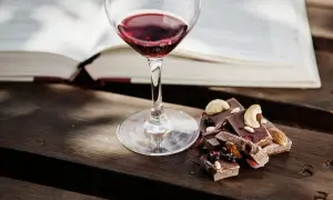 Un bicchiere di vino rosso e cioccolato con frutta secca e noci, un perfetto abbinamento vino e cioccolato, accanto a un libro aperto.