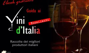 Guida ai Vini d'Italia, ebook gratuito con eccellenti produttori. Un viaggio nel rimontaggio vino italiano.