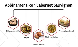 Abbinamenti con Cabernet Sauvignon: bistecca alla griglia, funghi, anatra arrosto, piatti vegetariani e formaggi stagionati.