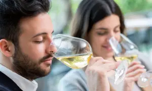 Coppia in una degustazione vino, annusano attentamente il nettare dorato nei calici.