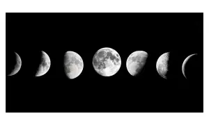 Fasi lunari, ideali per un calendario per travasare il vino.