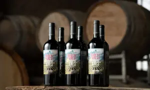 Bottiglie di vino biologico "Purest Vines" su un tavolo di legno, con botti sullo sfondo. Il vino biologico significato è un impegno per la natura.
