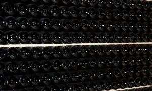 Fila di bottiglie scure, un'immagine che evoca il batonnage cos'è, la tecnica di agitazione per affinare il vino.