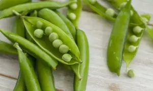 Baccelli di piselli freschi, alcuni aperti, rivelano i loro chicchi verdi. I piselli sono legumi nutrienti, perfetti per un pasto sano.
