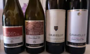 Quattro bottiglie di ottimo vino calabrese Librandi: Duca Sanfelice, Efeso, e due Gravedello.