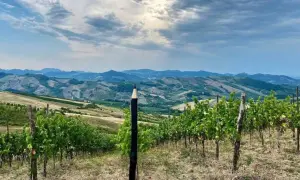 Un paesaggio collinare con vigneti rigogliosi, dove un insolito pennarello gigante sembra voler disegnare il futuro del **redavalle vino**.