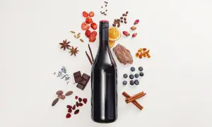 Bottiglia di vino rosso con ingredienti: fragole, arancia, mirtilli, cioccolato, cannella, anice stellato, caffè, bacche di ginepro e scorza d'albero, che suggeriscono note di tannino gallico.