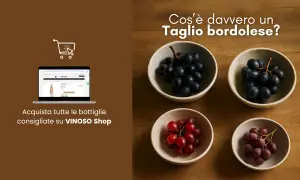 Uva nera e rossa in ciotole, con un laptop che mostra il sito VINOSO Shop. Scopri il taglio bordolese.