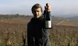 Un vigneron mostra una bottiglia di Champagne nel suo vigneto. Il significato di vigneron è un esperto nella coltivazione della vite e nella produzione di vino.