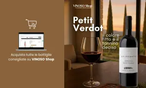 Bottiglia di Petit Verdot Orizzonte, con un bicchiere di vino rosso e un paesaggio toscano. Non una bottiglia jeroboam, ma un'ottima scelta per gli amanti del vino.