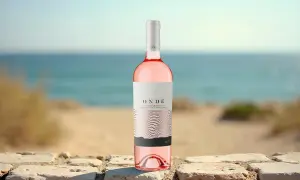 Bottiglia di Negroamaro Rosato "Onde" su muretto di pietra, con mare e spiaggia sullo sfondo. Perfetto per abbinamenti estivi.