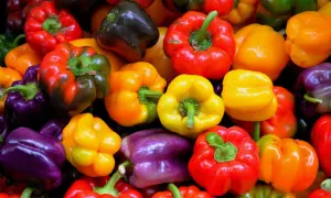 Un arcobaleno di peperoni colorati, perfetti per dare un tocco vivace alle tue ricette. Queste spezie per peperoni sono pronte per essere trasformate in piatti deliziosi.