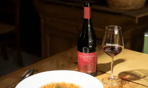 Bottiglia di vino rosso e bicchiere su un tavolo di legno, con un piatto di pasta. Consigli per come conservare il vino rosso.
