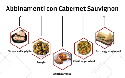 Abbinamenti con Cabernet Sauvignon: bistecca alla griglia, funghi, anatra arrosto, piatti vegetariani e formaggi stagionati.