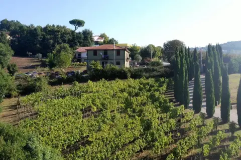 Vigneti rigogliosi sotto il sole, con una casa e filari di cipressi. Immagina il profumo del Fiano di Avellino DOCG che cresce qui.