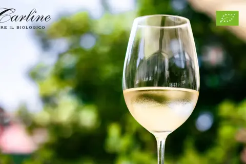 Calice di vino bianco Le Carline, certificato Bio Vegan. Scopri cosa sono i solfiti e la qualità dei nostri vini.