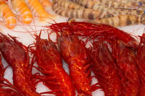 Un banco di freschi crostacei quali sono: gamberi rossi brillanti e gamberi tigrati, adagiati sul ghiaccio.