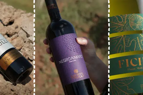 Bottiglie di vino pugliese: Primitivo, Negroamaro e Ficheto. Un viaggio sensoriale tra i sapori autentici della Puglia.