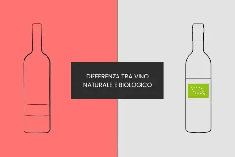 Bottiglia di vino naturale vs biologico. Scopri cosa sono i vini naturali e le loro differenze.