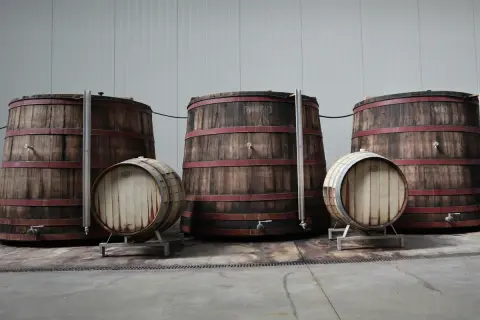 Grandi botti di legno con cerchi rossi, alcune in piedi, altre sdraiate, pronte per la maturazione sur lie.