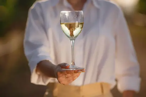 Un bicchiere di vino bianco, limpido e dorato, riflette la luce. Un invito a scoprire come si fa il vino bianco, un processo che trasforma l'uva in questa bevanda.