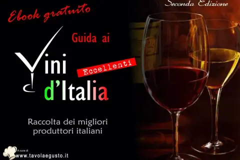 Guida ai Vini d'Italia, ebook gratuito con eccellenti produttori. Un viaggio nel rimontaggio vino italiano.