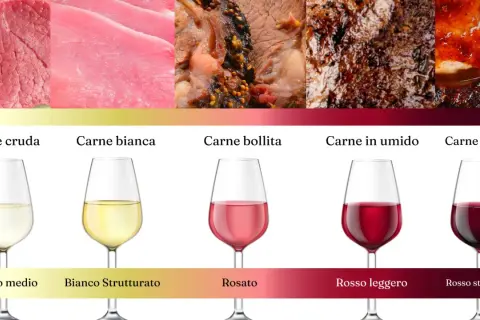 Abbinamenti ideali: carne cruda e bianca con vini bianchi, carne bollita e in umido con rosati e rossi leggeri, carne arrosto con rossi strutturati.