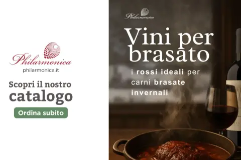 Vini per brasato: un bicchiere di rosso intenso accanto a un brasato fumante, perfetto per le serate invernali. Scopri il catalogo.