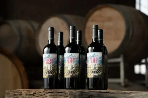 Bottiglie di vino biologico "Purest Vines" su un tavolo di legno, con botti sullo sfondo. Il vino biologico significato è un impegno per la natura.