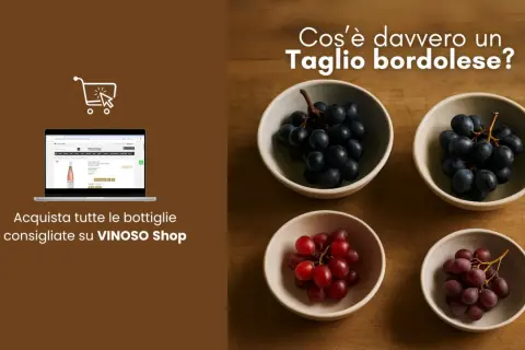 Uva nera e rossa in ciotole, con un laptop che mostra il sito VINOSO Shop. Scopri il taglio bordolese.