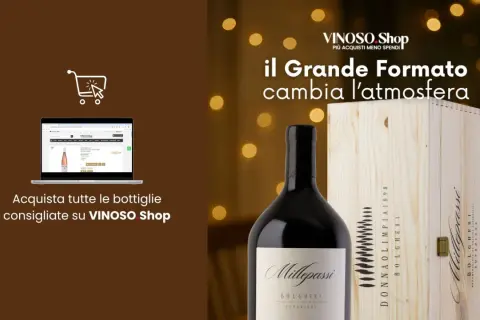 Vino in formato magnum, perfetto per le grandi occasioni. Scopri quanto pesa un magnum e acquista le tue bottiglie su VINOSO Shop.