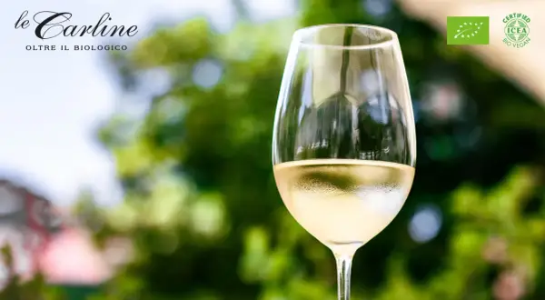 Calice di vino bianco Le Carline, certificato Bio Vegan. Scopri cosa sono i solfiti e la qualità dei nostri vini.