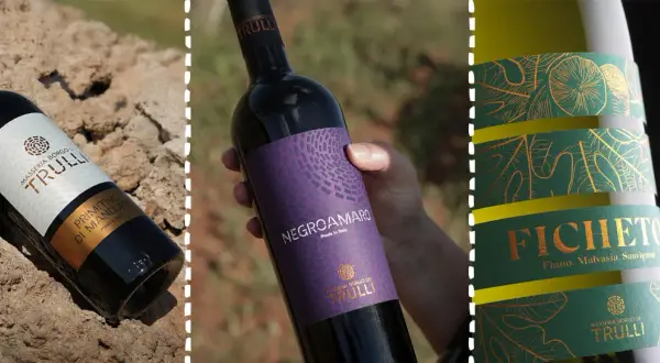 Bottiglie di vino pugliese: Primitivo, Negroamaro e Ficheto. Un viaggio sensoriale tra i sapori autentici della Puglia.