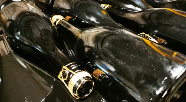 Bottiglie di vino scuro, pronte per la sboccatura. Le gabbie dorate promettono bollicine.