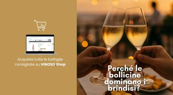 Due calici di spumante, simbolo di brindisi e celebrazione, perfetti per ogni occasione. Scopri il fascino del metodo classico su VINOSO.Shop.