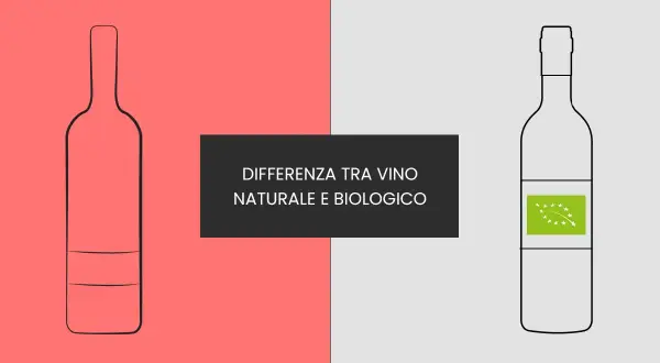 Bottiglia di vino naturale vs biologico. Scopri cosa sono i vini naturali e le loro differenze.