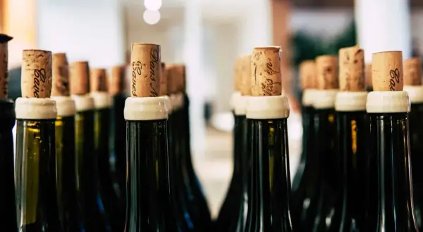 Tappi di sughero con scritte, pronti per sigillare bottiglie di vino. L'etichetta vini è un dettaglio importante.
