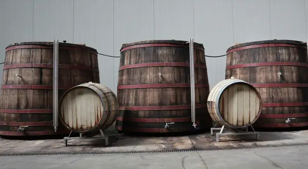 Grandi botti di legno con cerchi rossi, alcune in piedi, altre sdraiate, pronte per la maturazione sur lie.