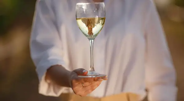 Un bicchiere di vino bianco, limpido e dorato, riflette la luce. Un invito a scoprire come si fa il vino bianco, un processo che trasforma l'uva in questa bevanda.