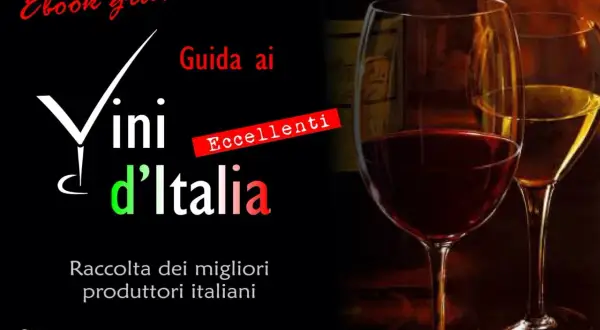 Guida ai Vini d'Italia, ebook gratuito con eccellenti produttori. Un viaggio nel rimontaggio vino italiano.