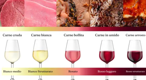 Abbinamenti ideali: carne cruda e bianca con vini bianchi, carne bollita e in umido con rosati e rossi leggeri, carne arrosto con rossi strutturati.