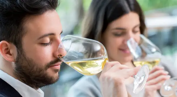 Coppia in una degustazione vino, annusano attentamente il nettare dorato nei calici.